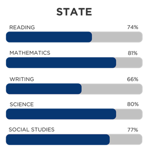 State STAAR Testing Results 